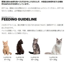画像6: NEW 最短賞味2027.8・ケリーアンドコー猫フリーズドライ おやつ サーモン 40g猫用kec00176/Kelly＆Co’s正規品 (6)