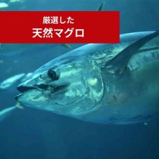 画像5: NEW 最短賞味2028.1・ケリーアンドコー猫フリーズドライ おやつ 天然マグロ 40g猫用kec00206/Kelly＆Co’s正規品 (5)