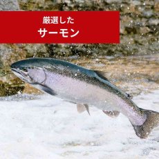 画像5: NEW 最短賞味2027.12.1・ケリーアンドコー 犬フリーズドライ ふりかけ サーモン 50g犬用kec00435/Kelly＆Co’s正規品 (5)