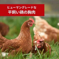 画像5: NEW 最短賞味2027.2.1・ケリーアンドコー猫フリーズドライ ふりかけ チキンブレスト 50g猫用kec00527/Kelly＆Co’s正規品 (5)