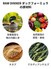 画像4: NEW 最短賞味2028.6・ケリーアンドコー猫フリーズドライ ダックフォーミュラ 156g猫用kec00695総合栄養食Kelly＆Co’s正規品 (4)