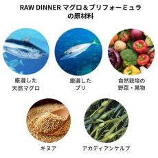画像4: NEW 最短賞味2027.12・ケリーアンドコー猫フリーズドライ マグロ＆ブリフォーミュラ 156g猫用kec00817総合栄養食Kelly＆Co’s正規品 (4)