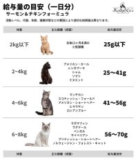 画像6: NEW 最短賞味2028.6・ケリーアンドコー猫フリーズドライ サーモン＆チキンフォーミュラ 156g猫用kec00831総合栄養食Kelly＆Co’s正規品 (6)