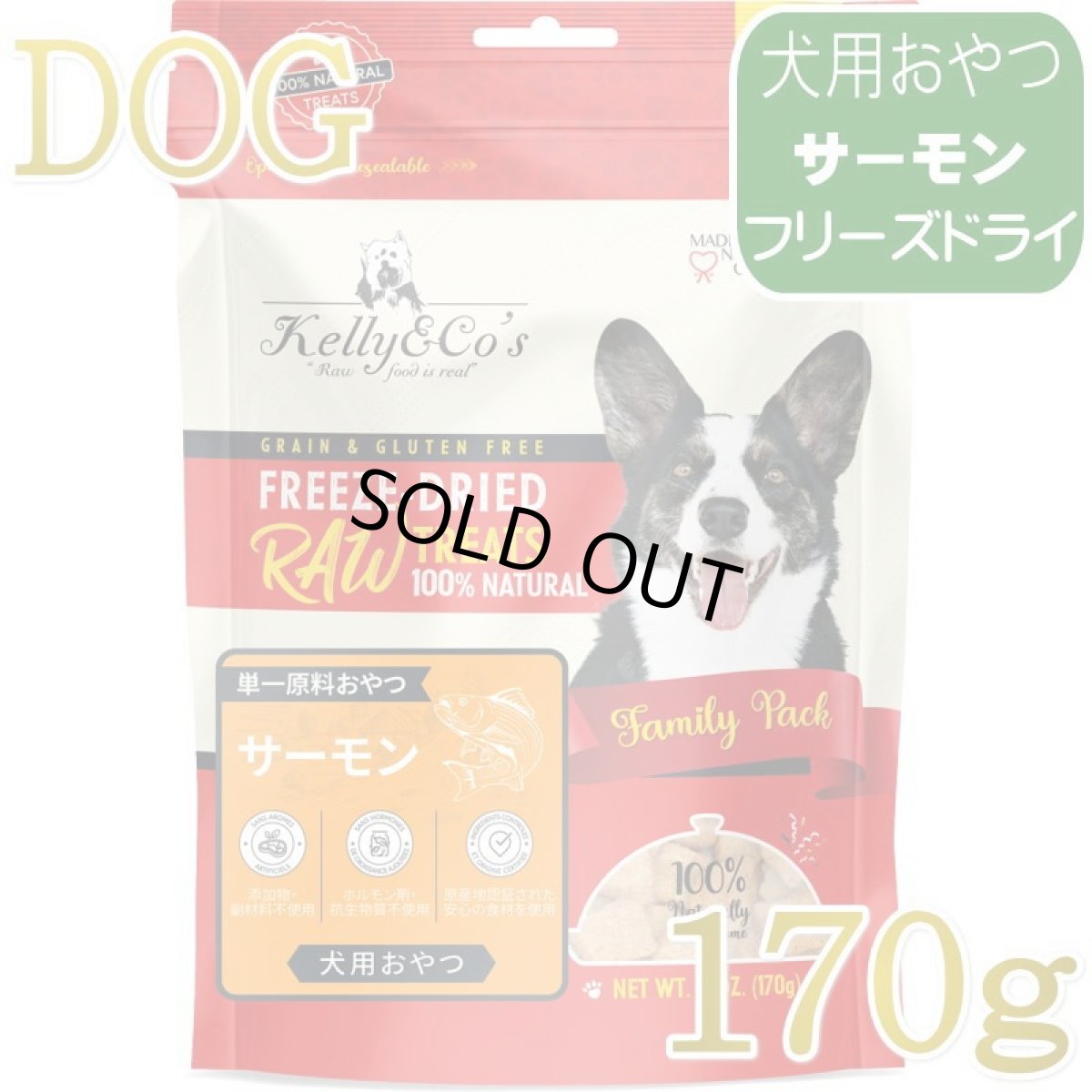 画像1: NEW 最短賞味2027.12・ケリーアンドコー 犬フリーズドライ おやつ サーモン 170g犬用kec00954/Kelly＆Co’s正規品 (1)