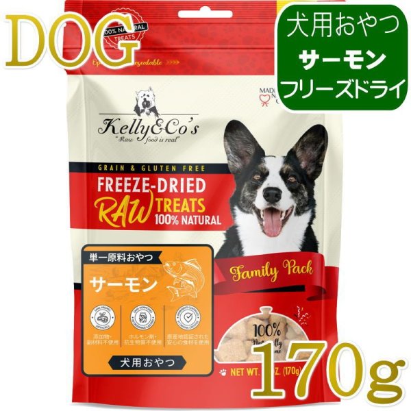 NEW 最短賞味2027.12・ケリーアンドコー 犬フリーズドライ おやつ