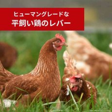 画像5: NEW 最短賞味2027.12・ケリーアンドコー猫フリーズドライ おやつ チキンレバー 170g猫用kec01081/Kelly＆Co’s正規品 (5)
