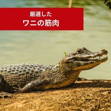画像5: NEW 最短賞味2027.12・ケリーアンドコー猫フリーズドライ おやつ クロコダイルマッスルミート 170g猫用kec01104/Kelly＆Co’s正規品 (5)