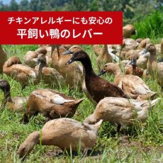 画像5: NEW 最短賞味2028.1・ケリーアンドコー猫フリーズドライ おやつ ダックレバー 170g猫用kec01166/Kelly＆Co’s正規品 (5)