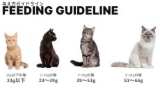 画像4: NEW 最短賞味2027.12・ケリーアンドコー猫フリーズドライ チキンフォーミュラ 397g猫用kec01333総合栄養食Kelly＆Co’s正規品 (4)