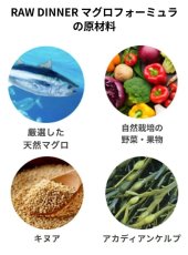 画像4: NEW 最短賞味2027.12・ケリーアンドコー猫フリーズドライ マグロフォーミュラ 397g猫用kec01371総合栄養食Kelly＆Co’s正規品 (4)