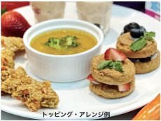 画像5: NEW 最短賞味2028.6.1・ケリーアンドコー犬フリーズドライ PATTY MEALS サーモンフォーミュラ226g犬用kec01555総合栄養食Kelly＆Co’s正規品 (5)