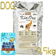 画像1: おまけ付き！最短賞味2023.7.19・キアオラ カンガルー 9.5kg 全年齢犬用ドライ グレインフリー ドッグフード KiaOra 正規品 kia20152 (1)