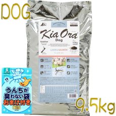 画像1: おまけ付き！最短賞味2024.11.9・キアオラ ラム＆サーモン 9.5kg 全年齢犬用ドライ グレインフリー ドッグフードKiaOra正規品kia21111 (1)