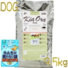 画像1: おまけ付き！最短賞味2025.3.8・キアオラ ビーフ＆サーモン 9.5kg 全年齢犬用ドライ グレインフリー ドッグフードKiaOra正規品kia21128 (1)