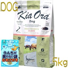 画像1: おまけ付き！最短賞味2025.3.8・キアオラ ビーフ＆サーモン 5kg 全年齢犬用ドライ グレインフリー ドッグフードKiaOra正規品kia21524 (1)