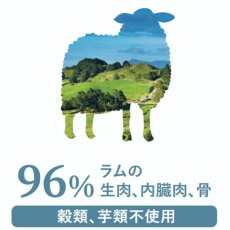 画像4: NEW 最短賞味2028.8・キアオラ 犬 ドッグ缶 自然放牧ラム180g缶ドッグフード全年齢犬用 総合栄養食kia22163正規品 (4)