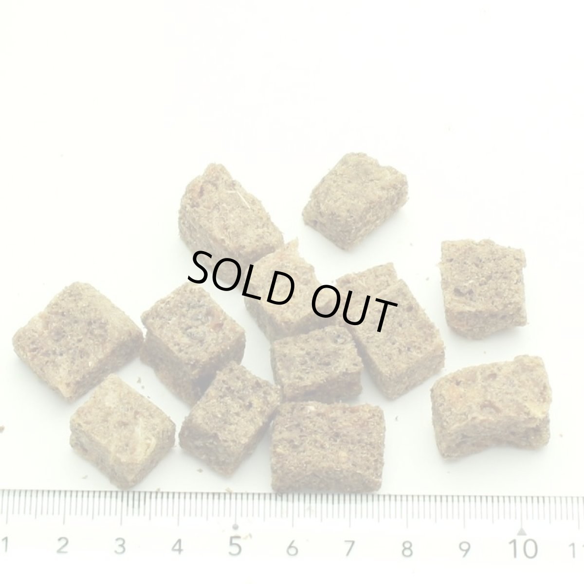 画像2: 最短賞味2026.9.11・キウイキッチン 犬 ワイルドコート フィッシュディナー 142g全年齢犬用フリーズドライ総合栄養食kk83211正規品 (2)