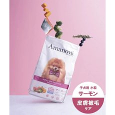 画像6: NEW 最短賞味2026.10.3・アマノヴァ ミニ センシティブ サーモン デラックス 成犬用・小粒2kgAmanova正規品lam110-ama31894 (6)