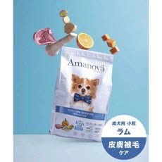 画像6: NEW 最短賞味2026.11.5・アマノヴァ ミニ センシティブ デリシャス ラム 成犬用・小粒2kgAmanova正規品lam112-ama71326 (6)