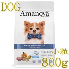 画像1: NEW 最短賞味2026.11.5・アマノヴァ ミニ センシティブ デリシャス ラム 成犬用・小粒800gAmanova正規品lam112-ama73795 (1)