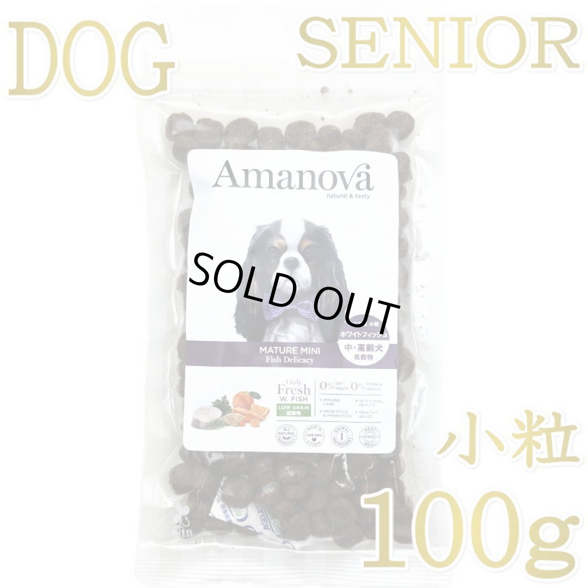 画像1: SALE/NEW 賞味切迫2026.11.6・アマノヴァ 高齢犬 マチュア ミニ フィッシュ デリカシー シニア犬用・小粒100gAmanova正規品lam132-ama06848 (1)