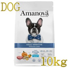 画像1: SALE/NEW 賞味切迫2026.10.1・アマノヴァ 犬 センシティブ デリシャス ラム 成犬用・中粒10kgAmanova正規品lam152-ama32112 (1)