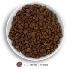 画像2: NEW 最短賞味2026.9.26・アマノヴァ 猫 アダルト キャット デリシャス ラム 100g成猫用グレインフリーAmanova正規品lam212-ama06954 (2)