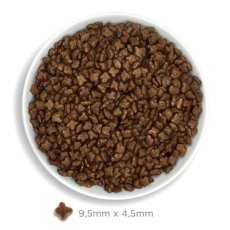 画像2: NEW 最短賞味2026.10.9・アマノヴァ 子猫 キトン エクスクイジット チキン 1.5kg子猫用ローグレインAmanova正規品lam230-ama31115 (2)