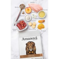 画像5: NEW 最短賞味2026.11.21・アマノヴァ 猫 アダルト キャット エクスクイジット チキン 100g成猫用ローグレインAmanova正規品lam231-ama06916 (5)