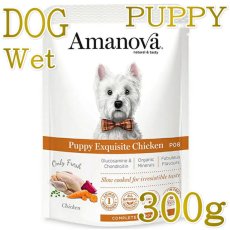 画像1: NEW 最短賞味2027.6・アマノヴァ 子犬 パウチ パピー エクスクイジット チキン300g子犬用Amanova正規品lam300-ama72064 (1)