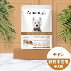 画像4: NEW 最短賞味2027.6・アマノヴァ 子犬 パウチ パピー エクスクイジット チキン300g子犬用Amanova正規品lam300-ama72064 (4)