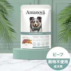 画像4: NEW 最短賞味2027.4・アマノヴァ 犬 パウチ アダルト イレジスタブル ビーフ100g成犬用Amanova正規品lam314-ama35021 (4)