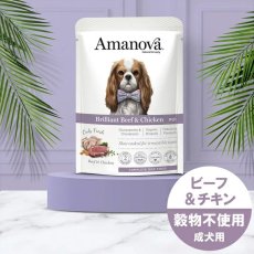 画像4: NEW 最短賞味2027.6・アマノヴァ 犬 パウチ アダルト ブリリアント ビーフ アンド チキン300g成犬用Amanova正規品lam315-ama71999 (4)