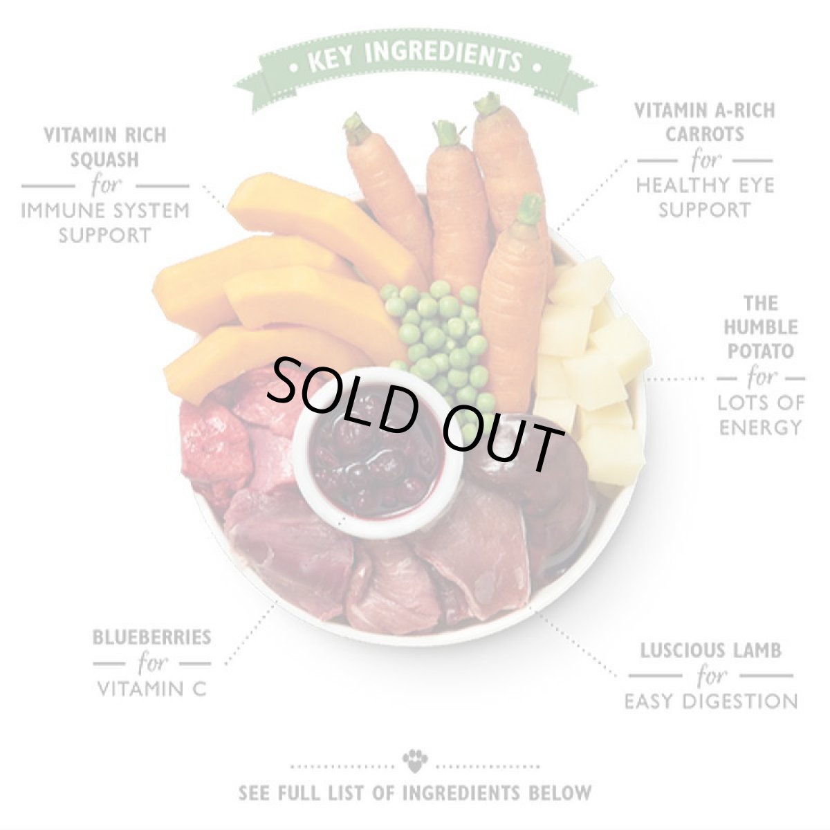 画像2: 最短賞味2026.10・リリーズキッチン 犬 子羊のホットポット・ドッグ 150g lid012成犬用ウェット 正規品※輸入元にて販売終了 (2)