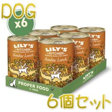 画像1: 最短賞味2024.11・リリーズキッチン 犬 日曜日のランチ・ドッグ 400g×6個 lid034cs（個別日本語ラベルなし） (1)