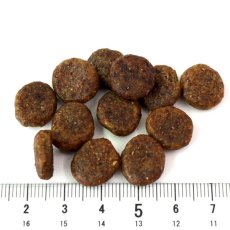 画像2: 最短賞味2025.5.1・リリーズキッチン 犬 サーモンの晩餐 1kg lid052成犬用ドライ 正規品 (2)