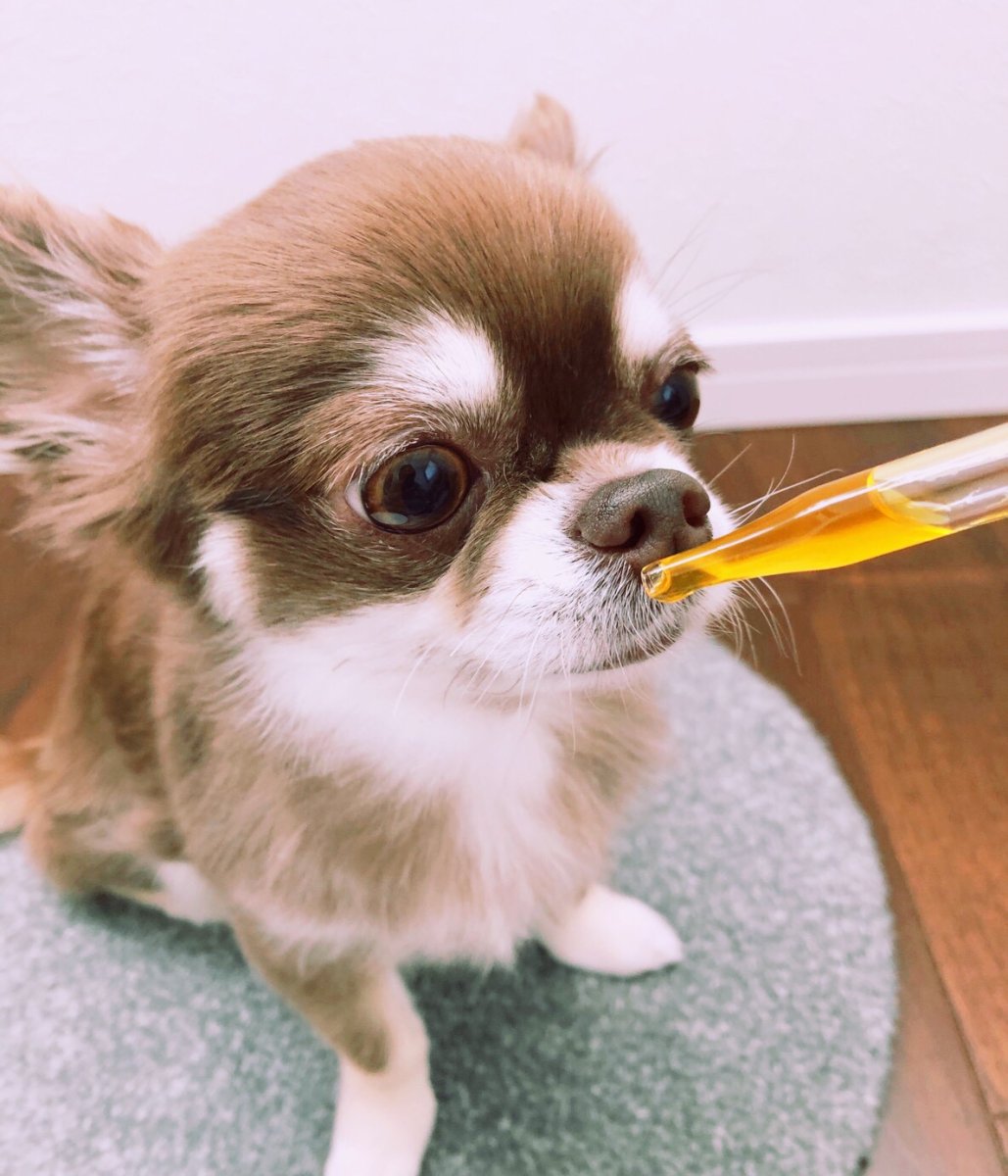 画像3: 最短賞味2027.12.24・Kindrops メニクリア 100ml ペット用me74400 (3)