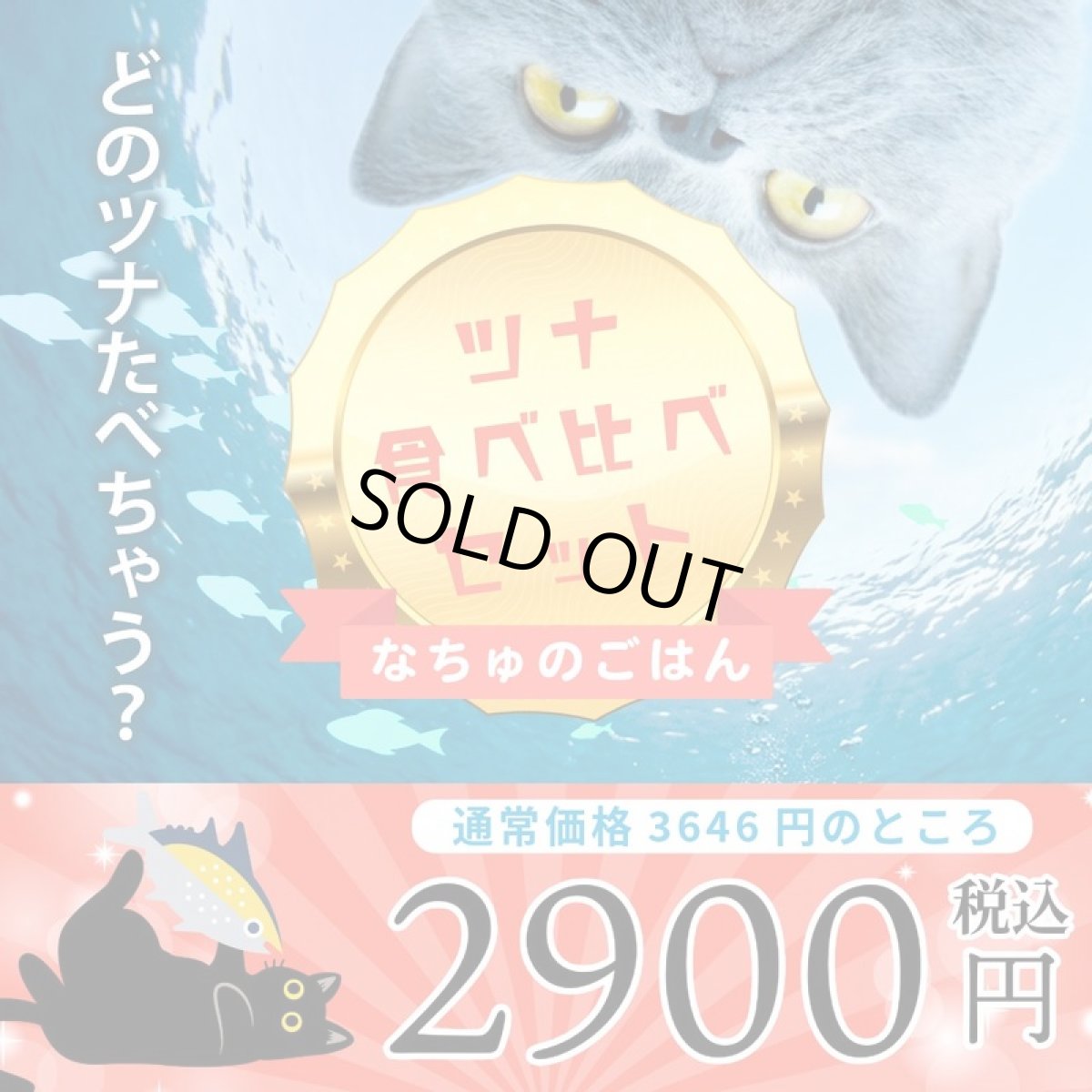 画像1: NEW なちゅのごはん 猫用ツナ食べ比べセット！na2610 お一人様1点限りです。数量限定SALE (1)