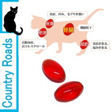 画像3: 最短賞味2025.10・クリルオイル 無臭タイプ 35粒 犬猫用 ナチュラルハーベスト カントリーロード nh08001 (3)