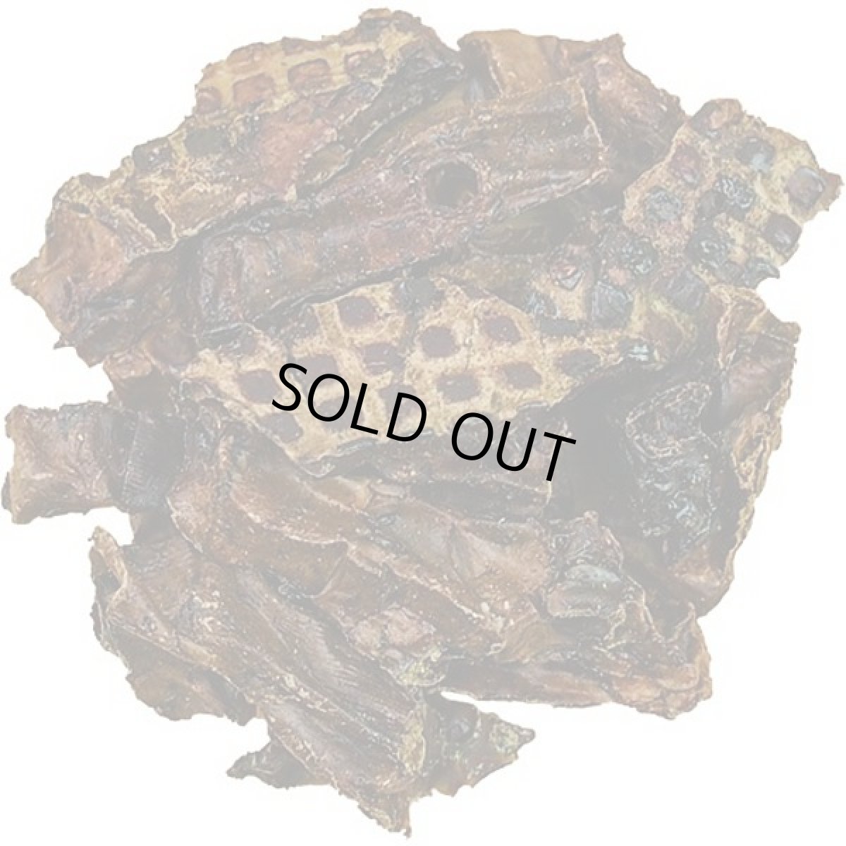 画像2: 最短賞味2026.10・プチ ラムラング 25g 犬猫用おやつナチュラルハーベスト・カントリーロードnh09138 (2)