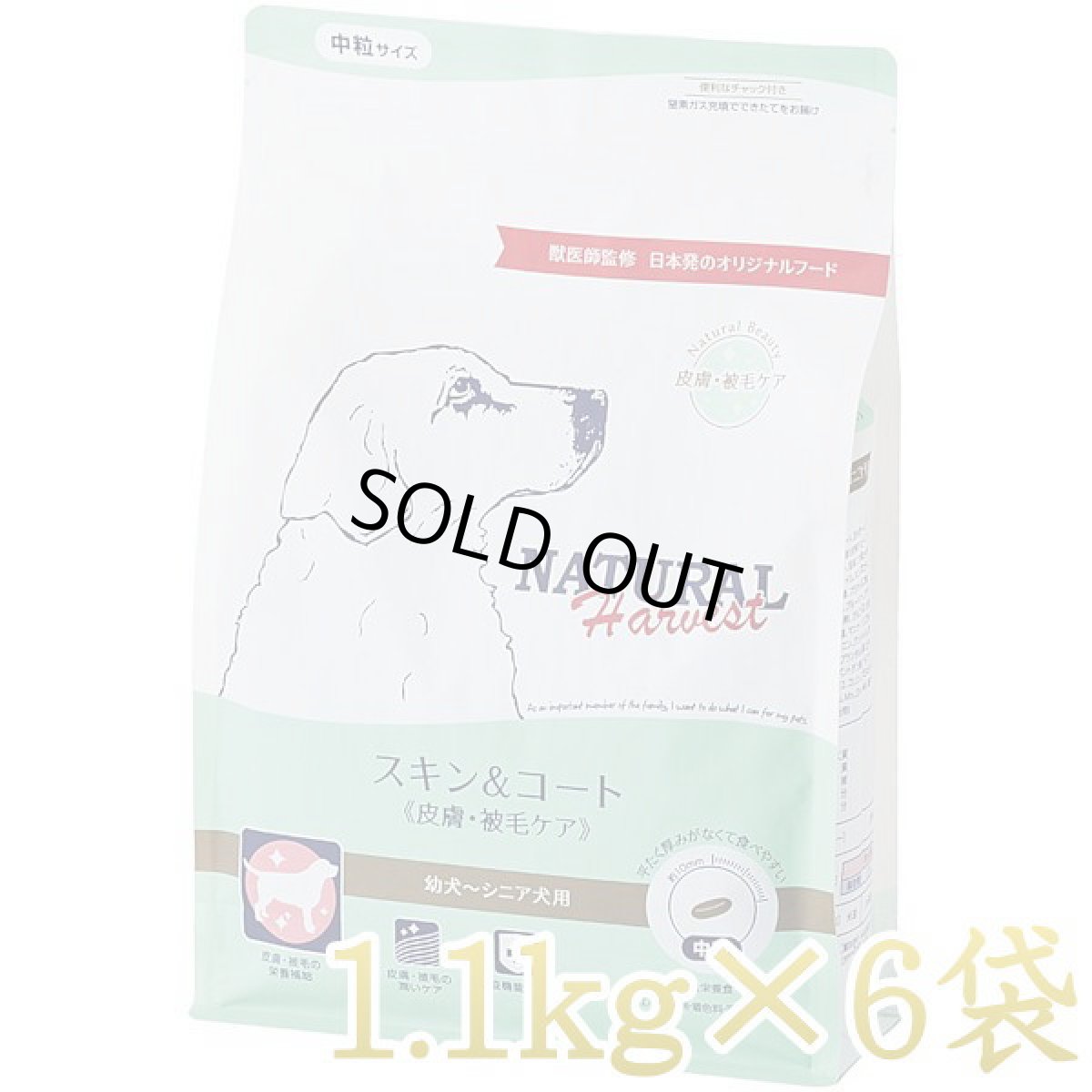 画像1: 最短賞味2026.6・ナチュラルハーベスト スキン＆コート1.1kg×6袋セット/専用ケース出荷になりますnh11841s6 (1)
