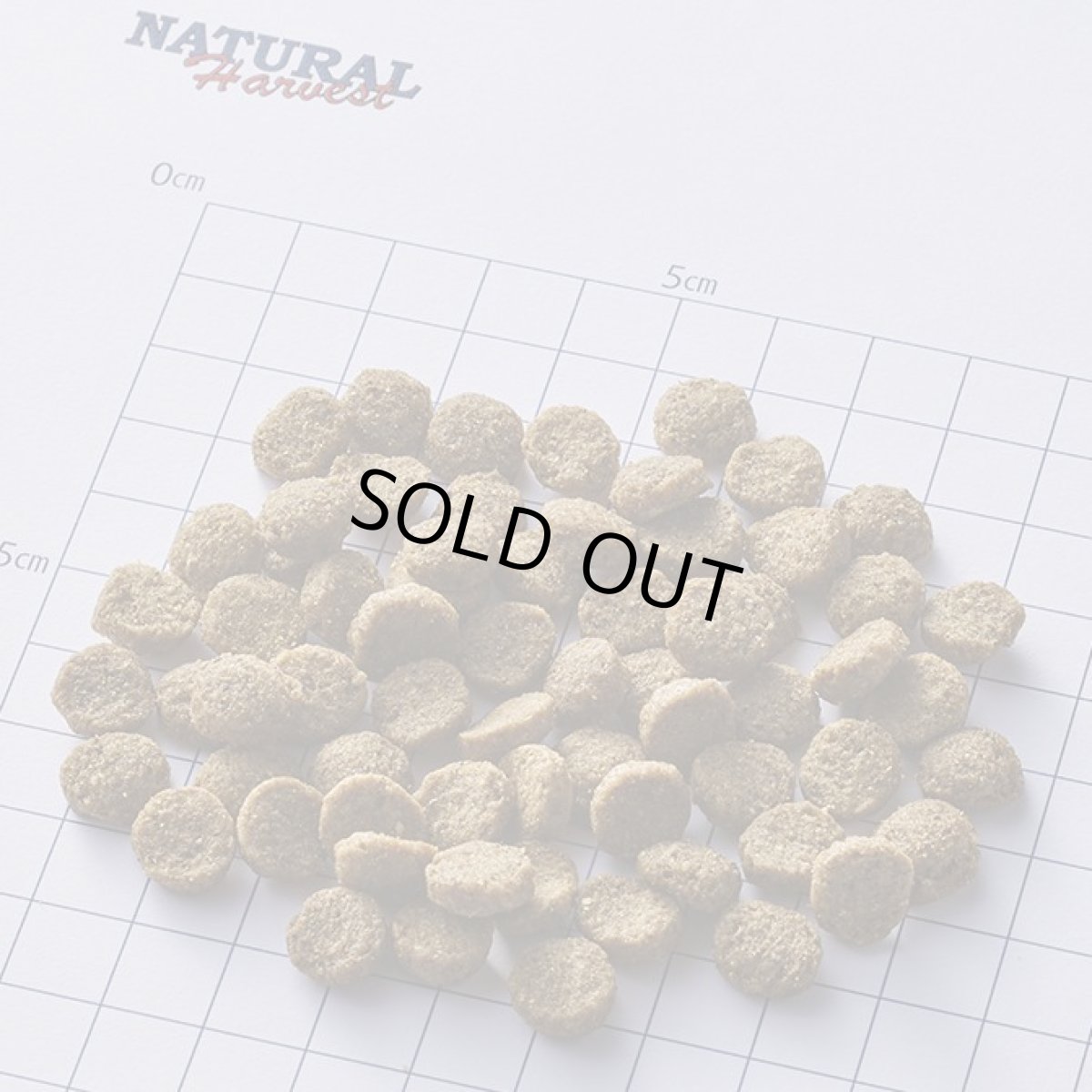 画像2: 最短賞味2026.6・ナチュラルハーベスト スキン＆コート1.1kg×6袋セット/専用ケース出荷になりますnh11841s6 (2)