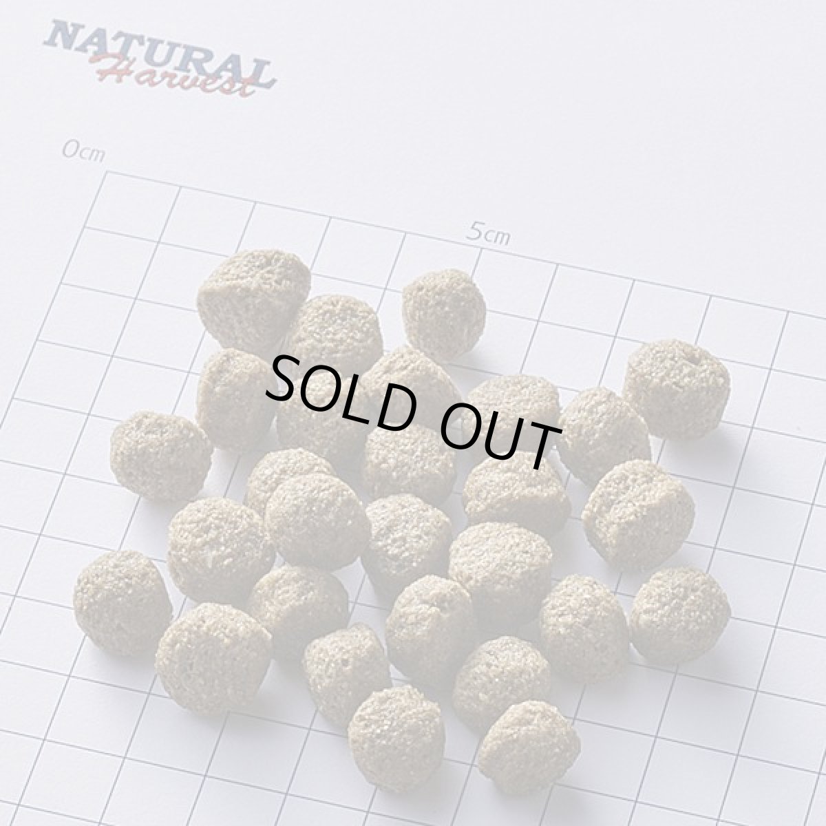 画像2: 最短賞味2026.10・ナチュラルハーベスト メンテナンス ラム1.1kg×6袋/成犬シニア犬対応ドライフードNatural Harvest正規品nh12312s6 (2)