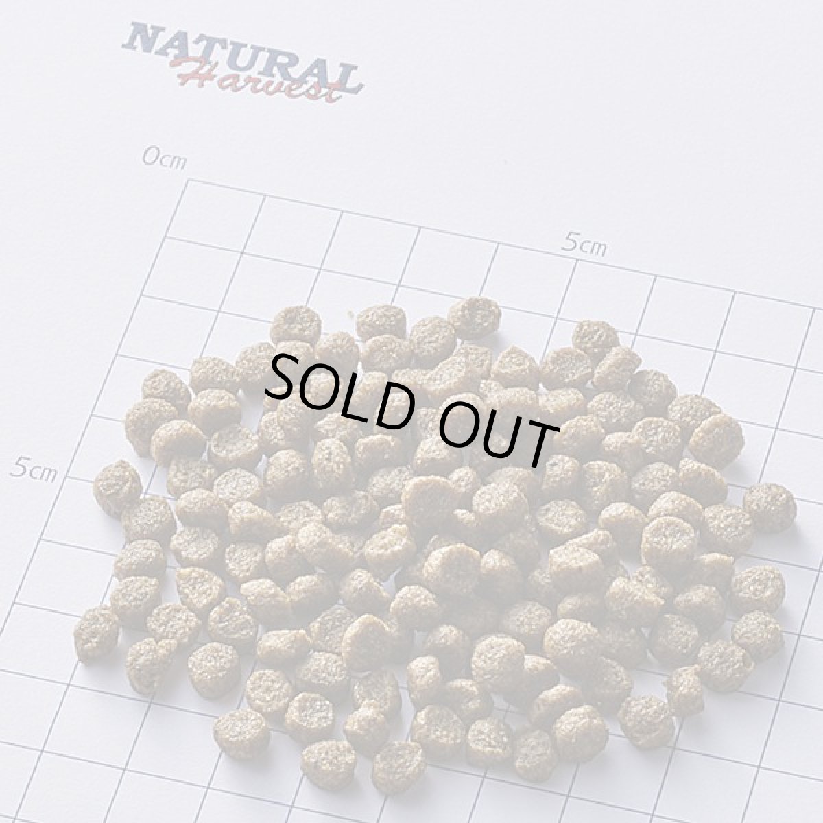 画像2: 最短賞味2027.10・ナチュラルハーベスト キドニア 1.1kg×6袋セット/専用ケース出荷になりますnh12374s6 (2)