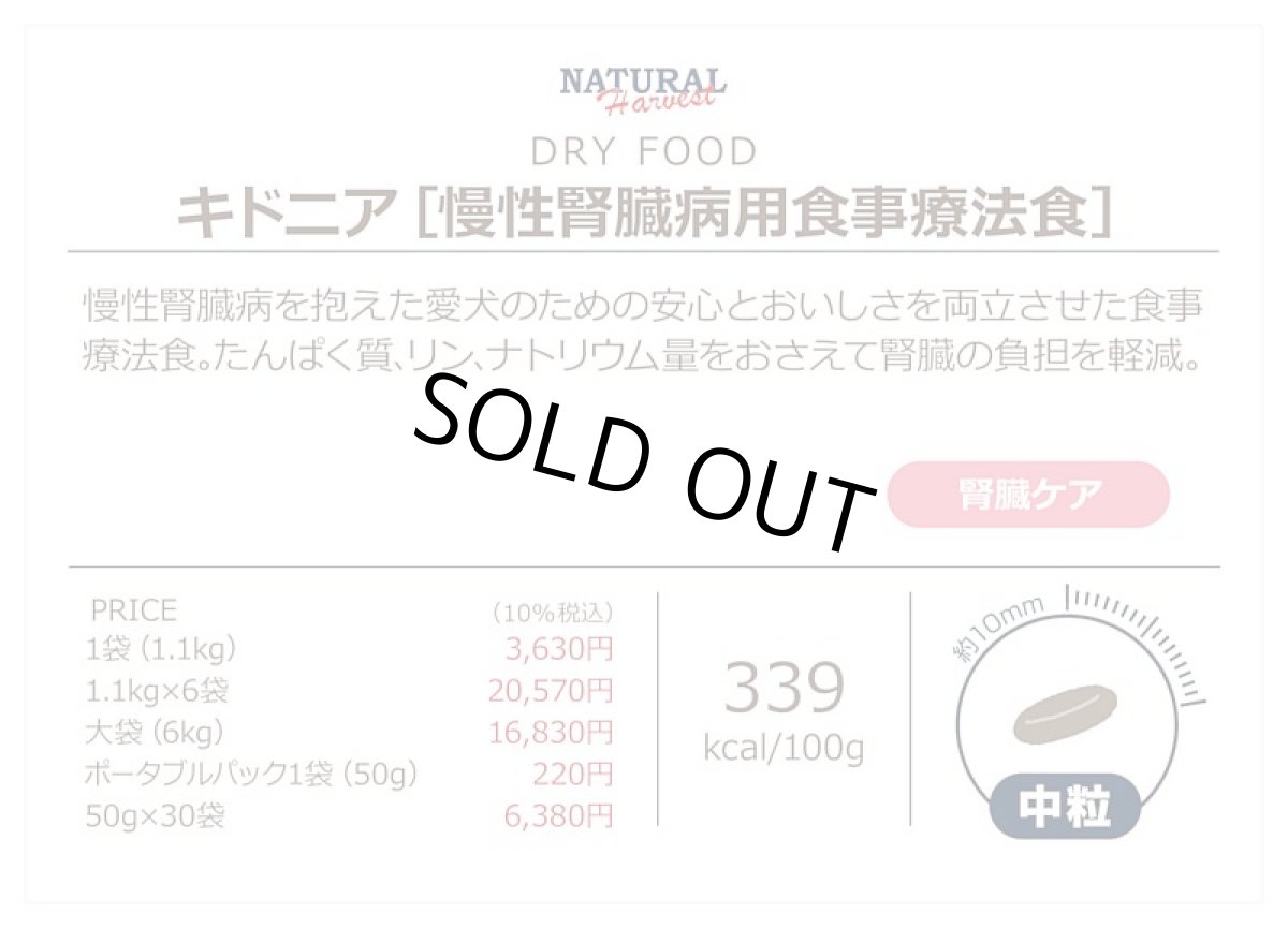 画像4: 最短賞味2027.10・ナチュラルハーベスト キドニア 1.1kg×6袋セット/専用ケース出荷になりますnh12374s6 (4)