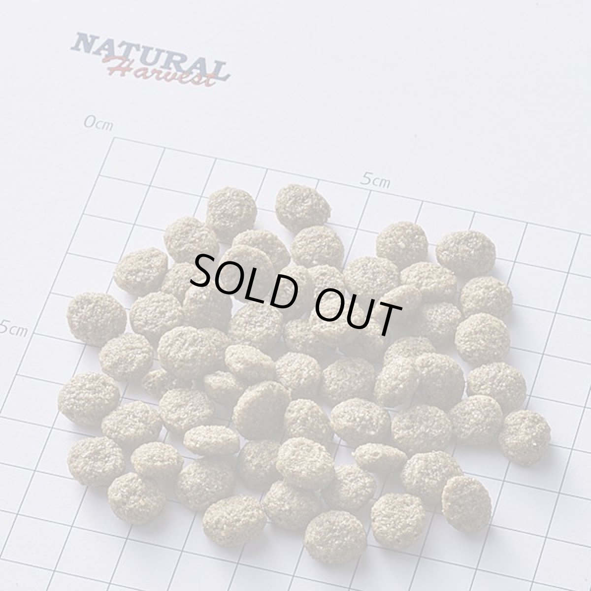 画像2: 最短賞味2027.9・ナチュラルハーベスト メンテナンススモール ラム6kg/成犬シニア犬対応ドライフードNatural Harvest正規品nh12787 (2)