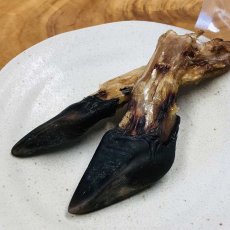 画像1: NEW 最短賞味2027.10・Nanki Japan デンタルチュー鹿ひづめ2本入り/nj60258犬用おやつ ナンキジャパン (1)