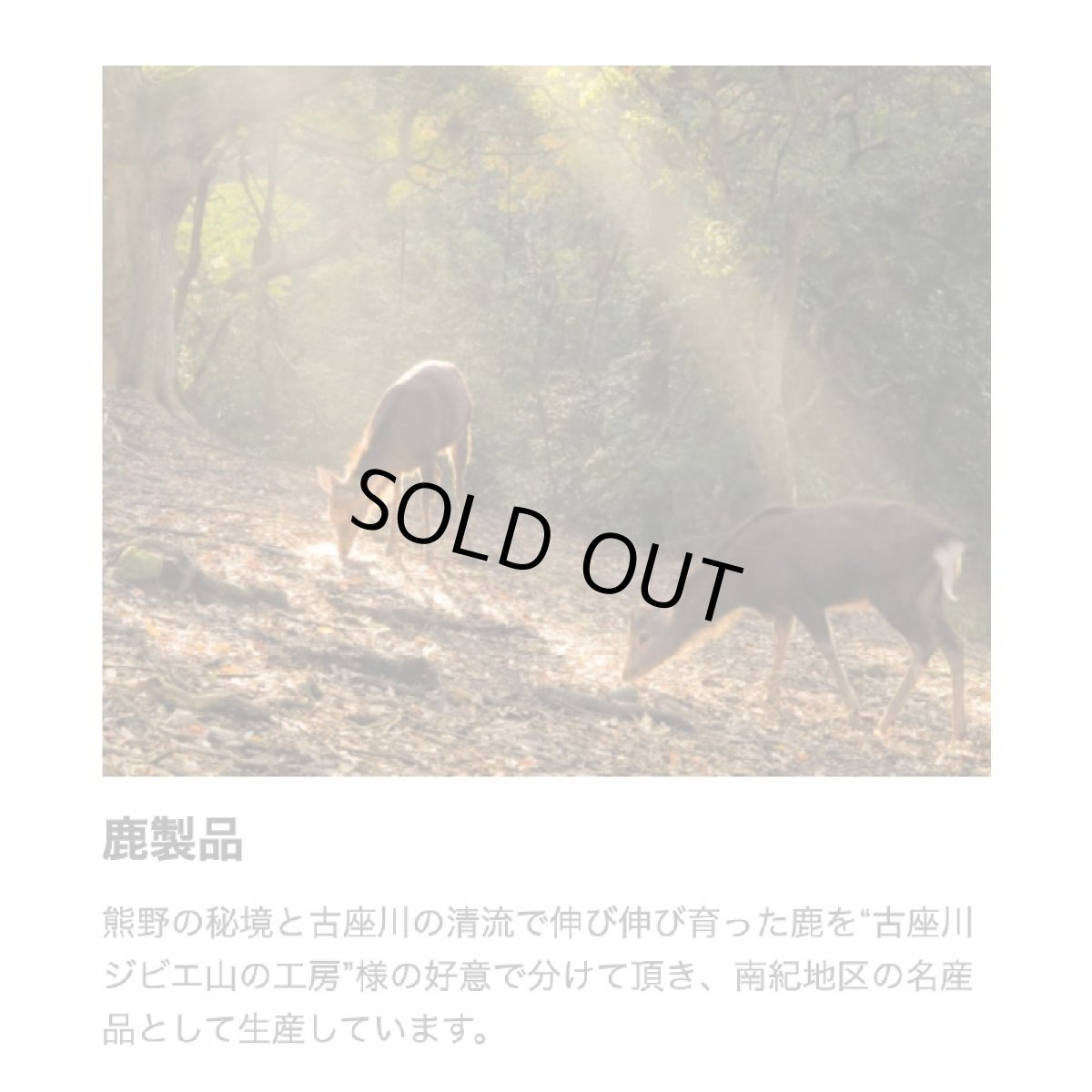 画像5: NEW 最短賞味2027.10・Nanki Japan デンタルチュー鹿ひづめ2本入り/nj60258犬用おやつ ナンキジャパン (5)
