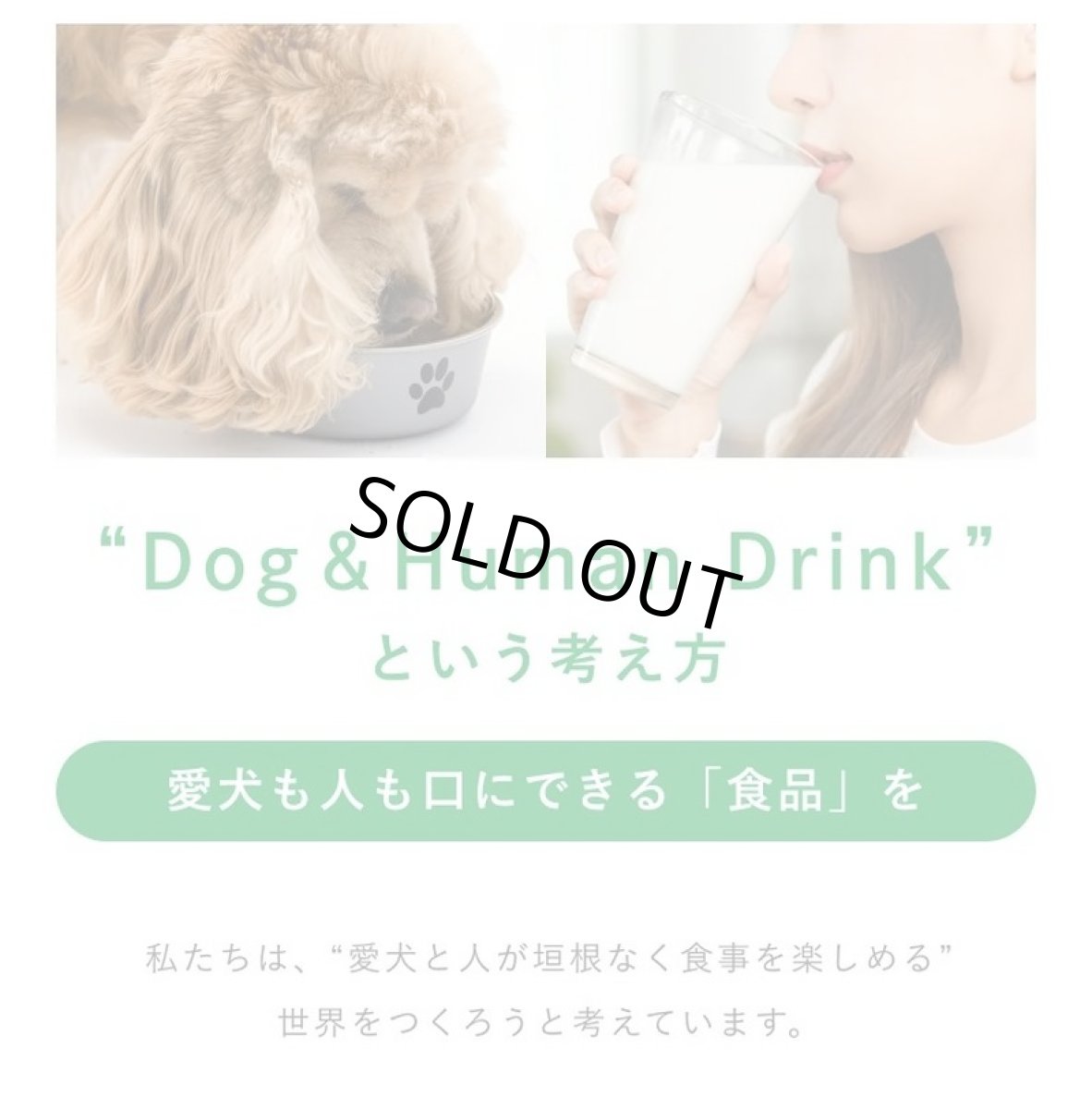 画像11: 最短賞味2027.5・シルクフル 犬用 Cozy Milk コージーミルク甘酒 カラダシルクin nnw06043 (11)