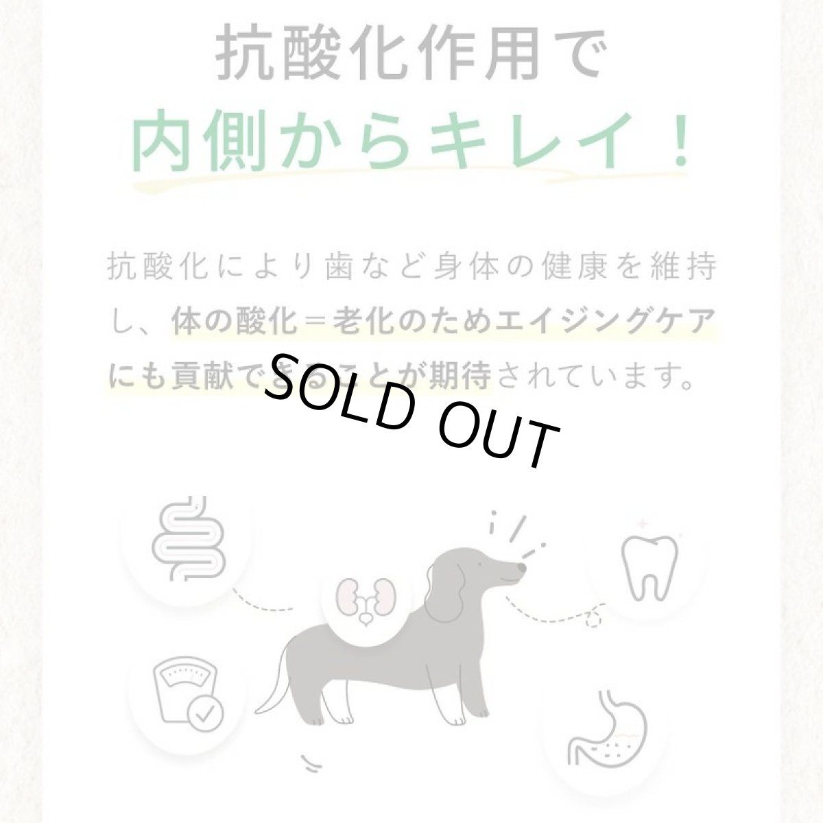 画像9: 最短賞味2027.5・シルクフル 犬用 Cozy Milk コージーミルク甘酒 カラダシルクin nnw06043 (9)